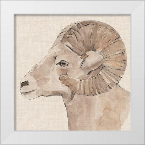 Bighorn Profile I White Modern Wood Framed Art Print by Warren, Annie