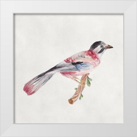 Bird Sketch I White Modern Wood Framed Art Print by Wang, Melissa