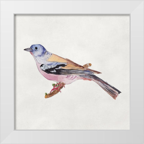 Bird Sketch II White Modern Wood Framed Art Print by Wang, Melissa