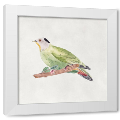 Bird Sketch III White Modern Wood Framed Art Print by Wang, Melissa