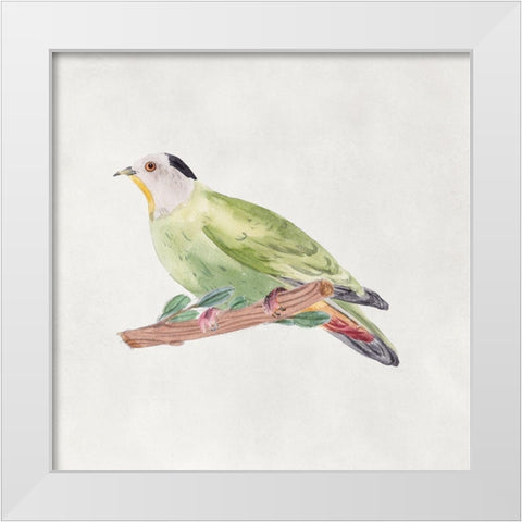 Bird Sketch III White Modern Wood Framed Art Print by Wang, Melissa