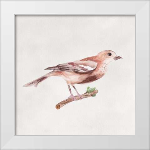 Bird Sketch IV White Modern Wood Framed Art Print by Wang, Melissa