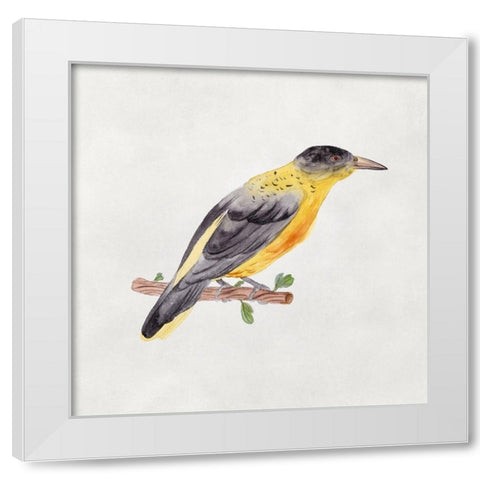 Bird Sketch VI White Modern Wood Framed Art Print by Wang, Melissa