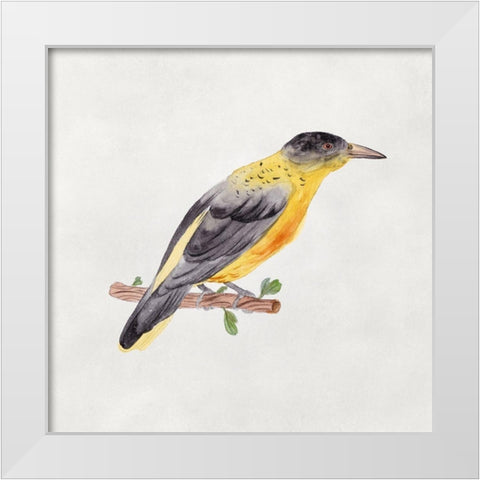 Bird Sketch VI White Modern Wood Framed Art Print by Wang, Melissa