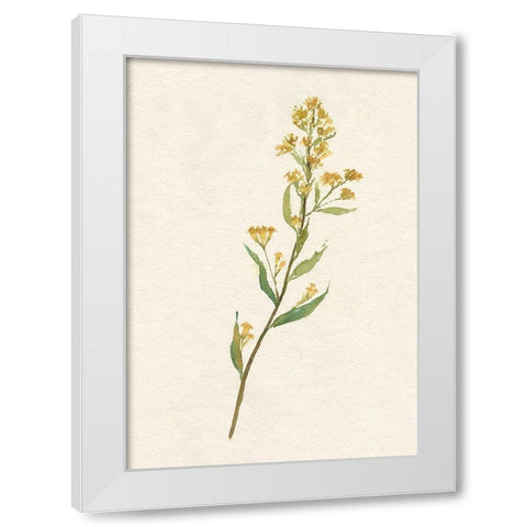 Delicate Yellow I White Modern Wood Framed Art Print by Goldberger, Jennifer