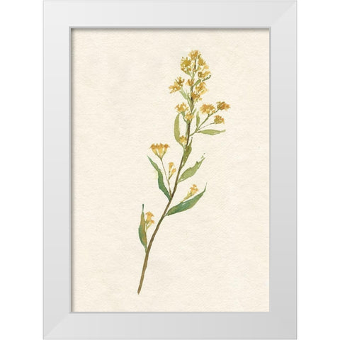 Delicate Yellow I White Modern Wood Framed Art Print by Goldberger, Jennifer