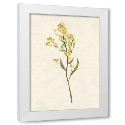 Delicate Yellow II White Modern Wood Framed Art Print by Goldberger, Jennifer