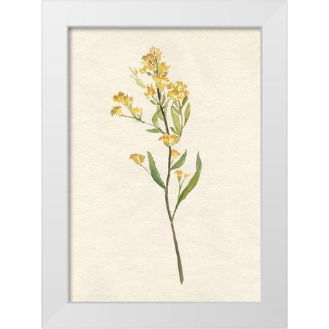 Delicate Yellow II White Modern Wood Framed Art Print by Goldberger, Jennifer