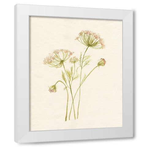 Blush Lace I White Modern Wood Framed Art Print by Goldberger, Jennifer