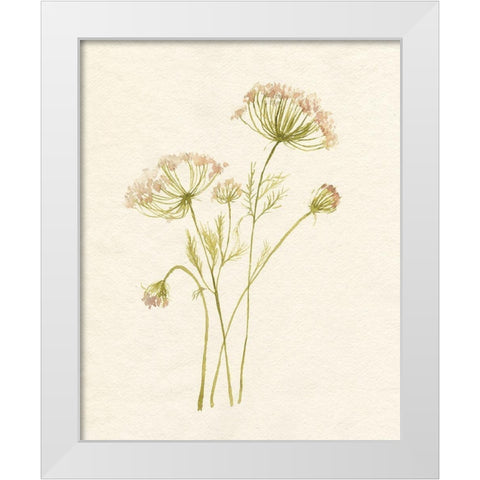 Blush Lace I White Modern Wood Framed Art Print by Goldberger, Jennifer