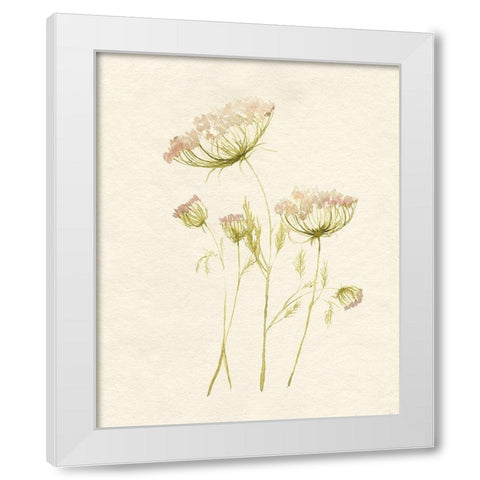 Blush Lace II White Modern Wood Framed Art Print by Goldberger, Jennifer