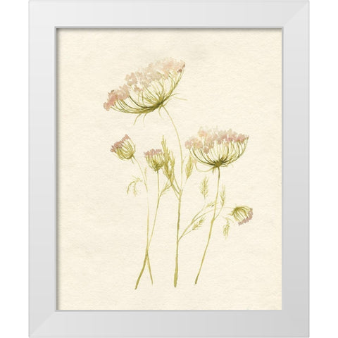 Blush Lace II White Modern Wood Framed Art Print by Goldberger, Jennifer