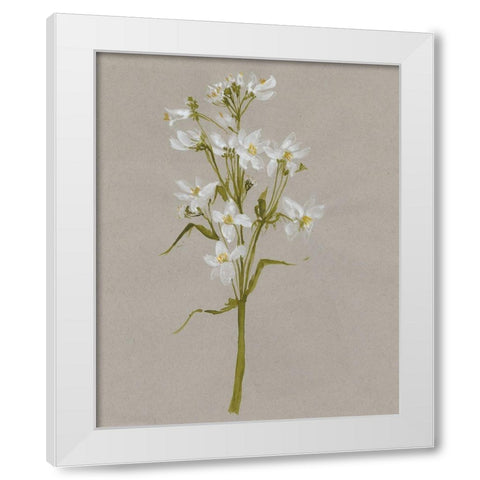 White Field Flowers I White Modern Wood Framed Art Print by Goldberger, Jennifer