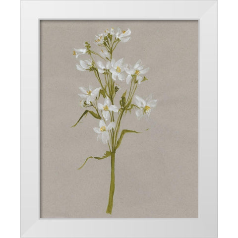 White Field Flowers I White Modern Wood Framed Art Print by Goldberger, Jennifer