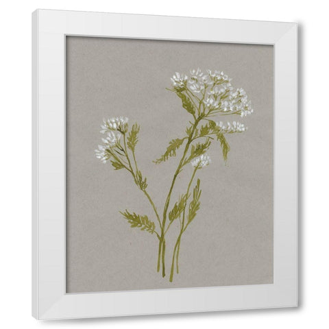 White Field Flowers III White Modern Wood Framed Art Print by Goldberger, Jennifer