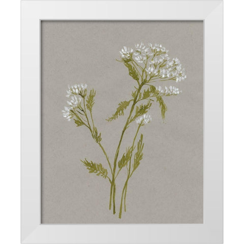 White Field Flowers III White Modern Wood Framed Art Print by Goldberger, Jennifer