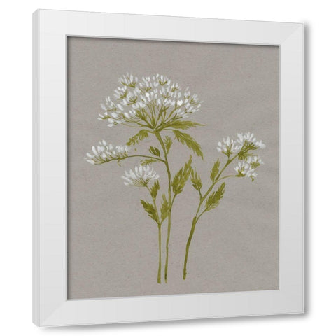 White Field Flowers IV White Modern Wood Framed Art Print by Goldberger, Jennifer