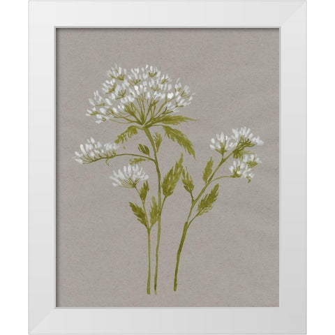 White Field Flowers IV White Modern Wood Framed Art Print by Goldberger, Jennifer