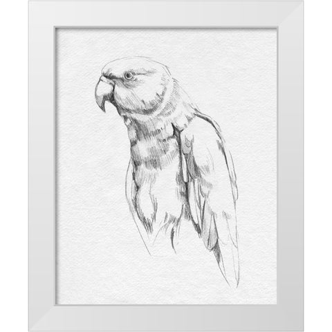 Parrot Portrait I White Modern Wood Framed Art Print by Caroline, Emma