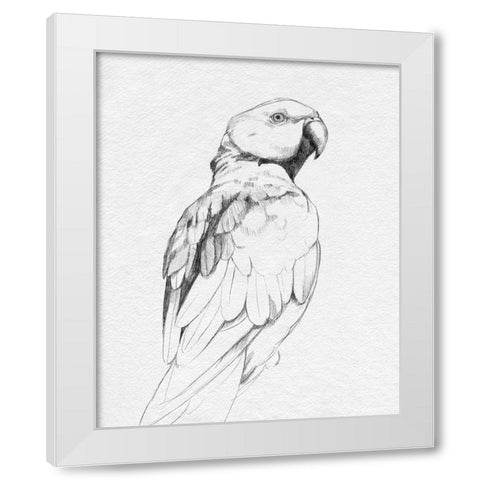Parrot Portrait II White Modern Wood Framed Art Print by Caroline, Emma