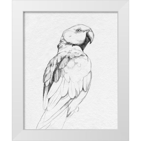 Parrot Portrait II White Modern Wood Framed Art Print by Caroline, Emma