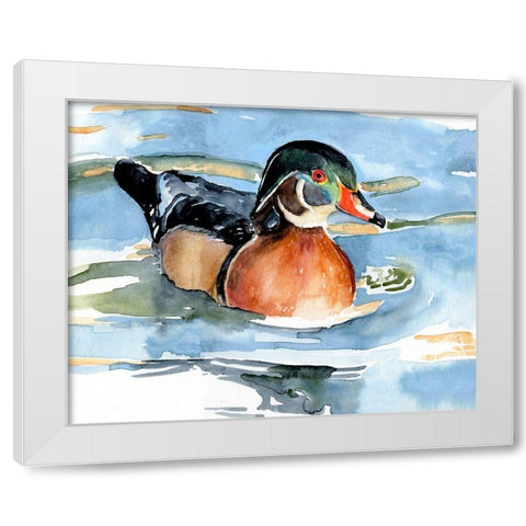 Watercolor Woodduck II White Modern Wood Framed Art Print by Parker, Jennifer Paxton