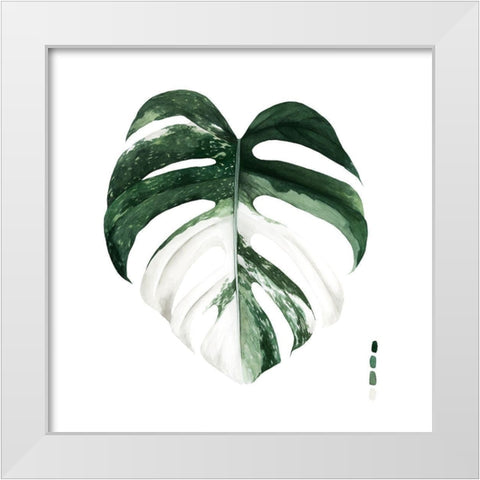 Custom Variegated Monstera I White Modern Wood Framed Art Print by Popp, Grace