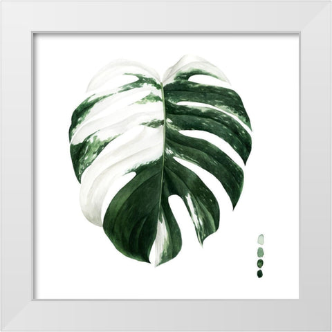 Custom Variegated Monstera II White Modern Wood Framed Art Print by Popp, Grace