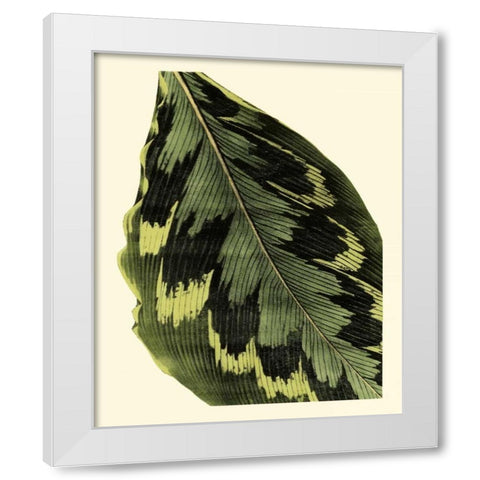 Grandiose Leaves I White Modern Wood Framed Art Print by Vision Studio