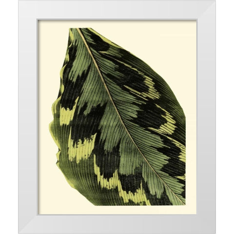 Grandiose Leaves I White Modern Wood Framed Art Print by Vision Studio