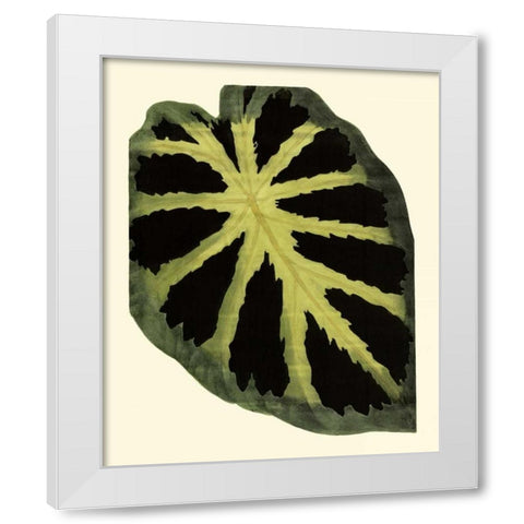 Grandiose Leaves III White Modern Wood Framed Art Print by Vision Studio