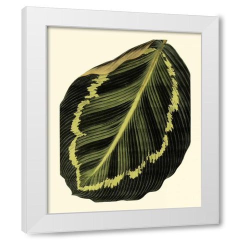 Grandiose Leaves IV White Modern Wood Framed Art Print by Vision Studio