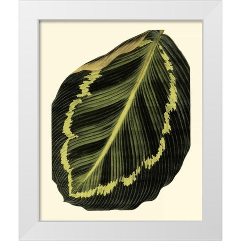 Grandiose Leaves IV White Modern Wood Framed Art Print by Vision Studio