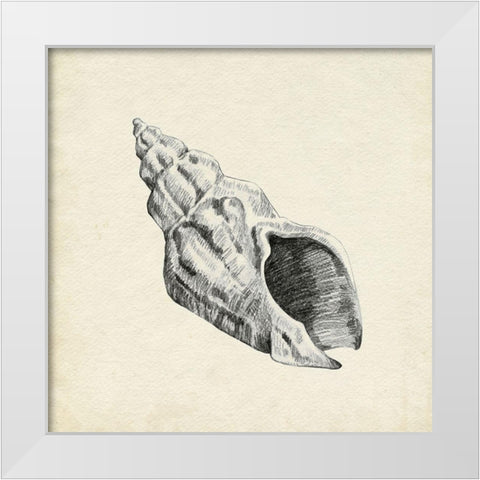 Seashell Pencil Sketch II White Modern Wood Framed Art Print by Caroline, Emma