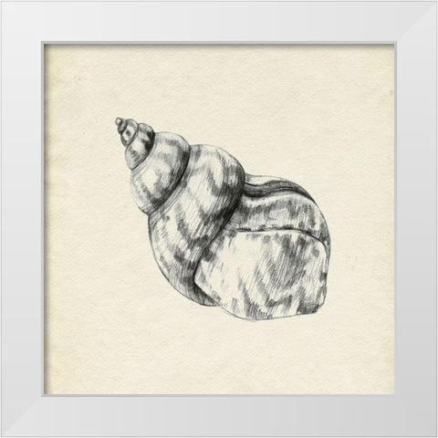 Seashell Pencil Sketch III White Modern Wood Framed Art Print by Caroline, Emma