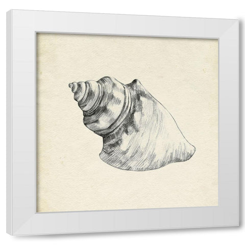 Seashell Pencil Sketch IV White Modern Wood Framed Art Print by Caroline, Emma