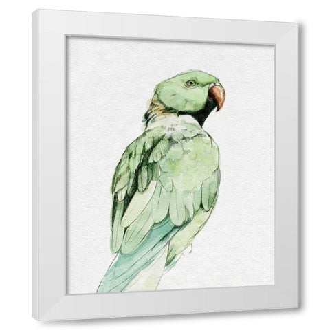 Bright Parrot Portrait II White Modern Wood Framed Art Print by Caroline, Emma