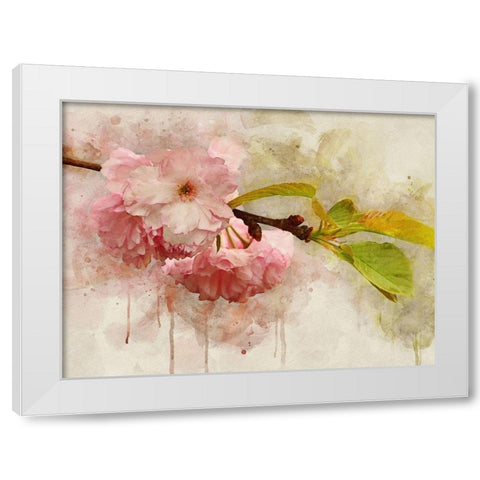 Blossom Elegance I White Modern Wood Framed Art Print by Robertson, Leda