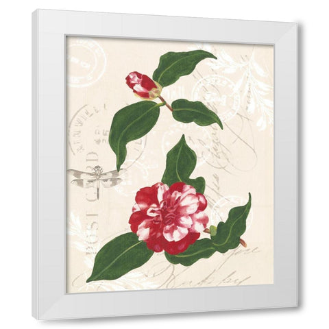 Diannes Camelias I White Modern Wood Framed Art Print by Miller, Dianne