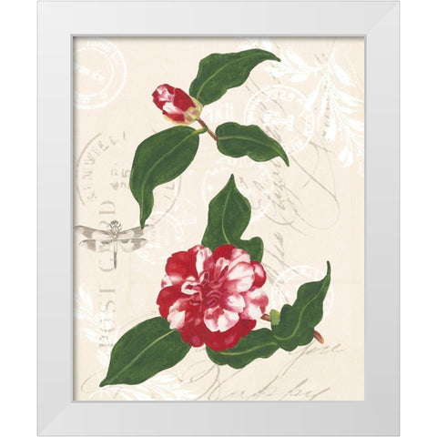 Diannes Camelias I White Modern Wood Framed Art Print by Miller, Dianne