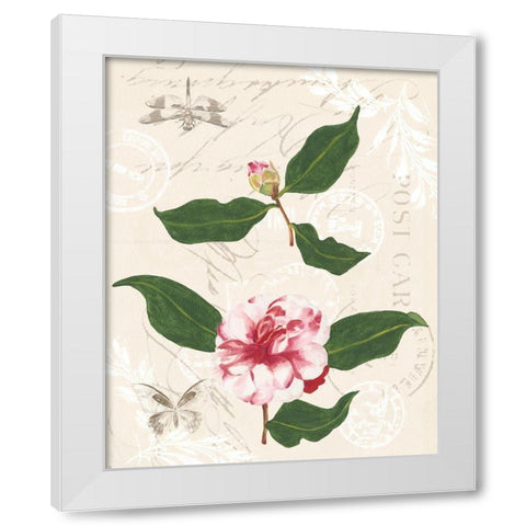 Diannes Camelias III White Modern Wood Framed Art Print by Miller, Dianne