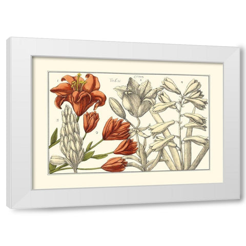 Embellished Arena Botanical I White Modern Wood Framed Art Print by Arena