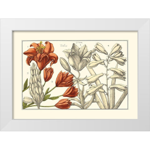 Embellished Arena Botanical I White Modern Wood Framed Art Print by Arena