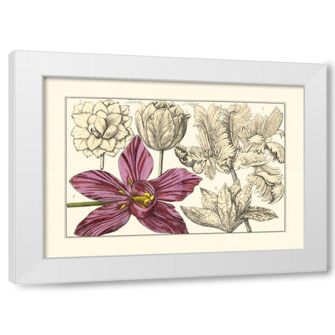 Embellished Arena Botanical IV White Modern Wood Framed Art Print by Arena