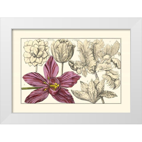 Embellished Arena Botanical IV White Modern Wood Framed Art Print by Arena