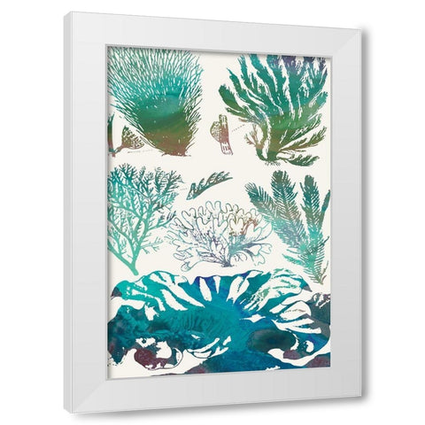 Aquatic Assemblage II White Modern Wood Framed Art Print by Chandler, Sharon