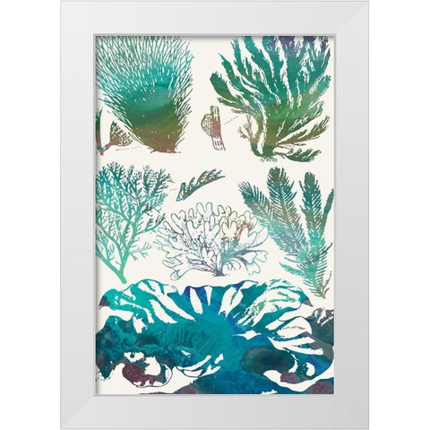 Aquatic Assemblage II White Modern Wood Framed Art Print by Chandler, Sharon