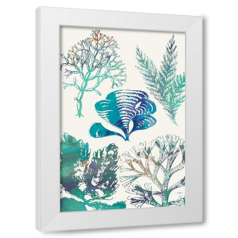 Aquatic Assemblage III White Modern Wood Framed Art Print by Chandler, Sharon