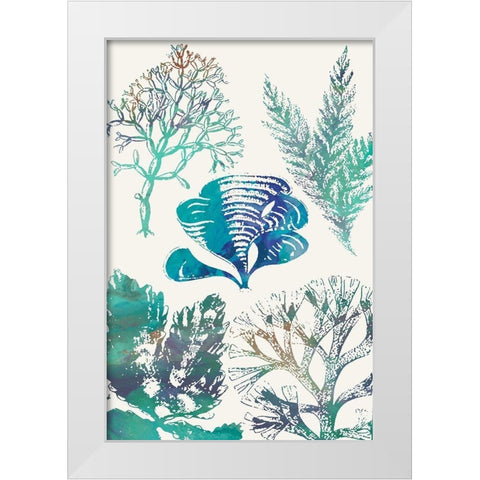 Aquatic Assemblage III White Modern Wood Framed Art Print by Chandler, Sharon