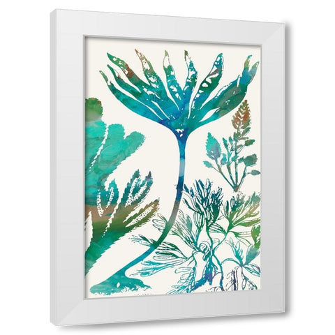 Aquatic Assemblage IV White Modern Wood Framed Art Print by Chandler, Sharon